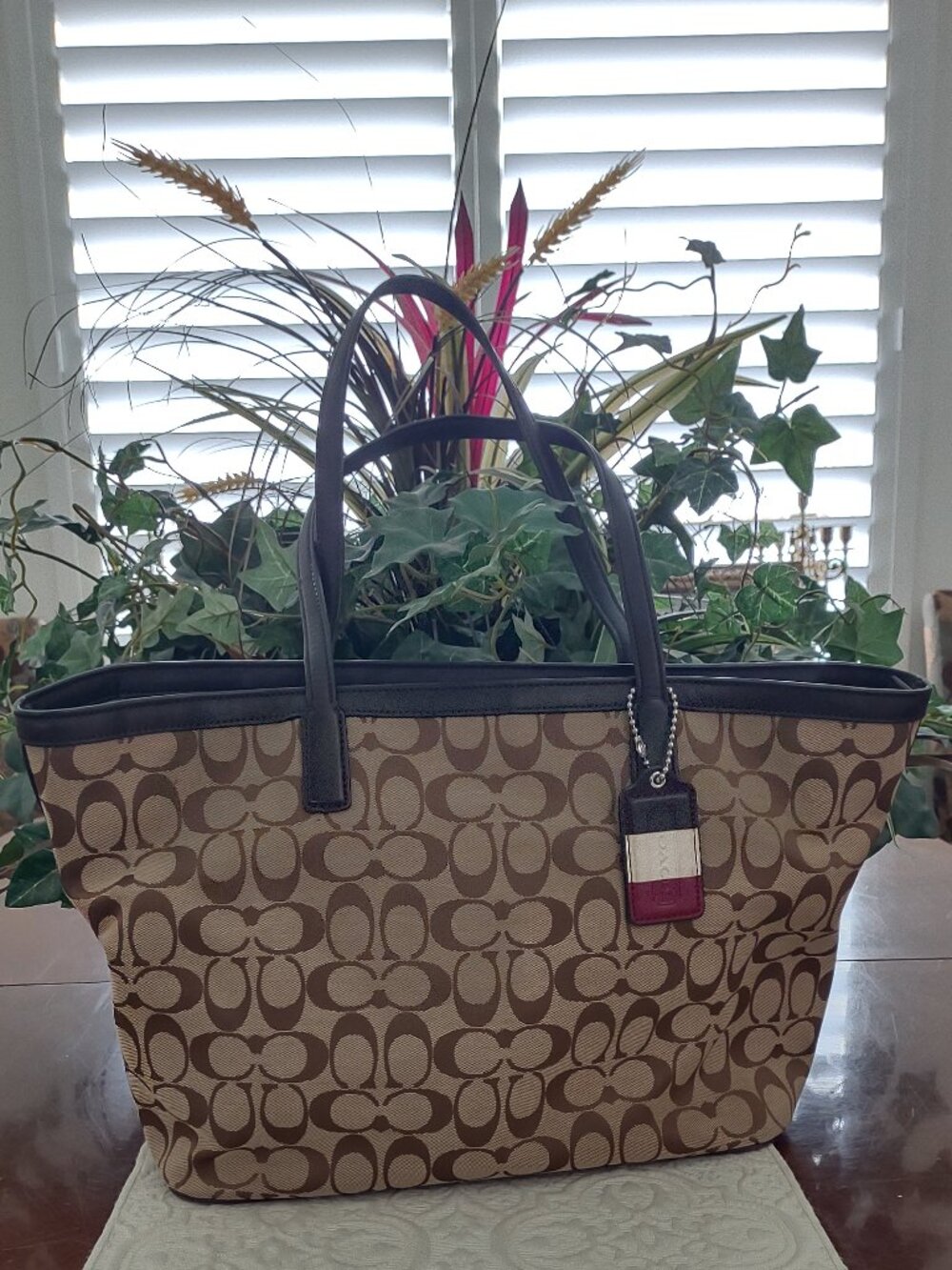 Coach 23465 Signature Canvas Weekend Zip Top Tote Bag